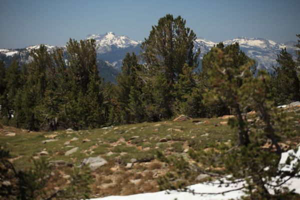 View northwest from Summit Lake.
