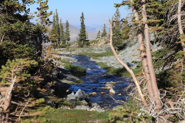 Outlet stream, Merriam Lake.  Lemhi Range seen on horizon.
