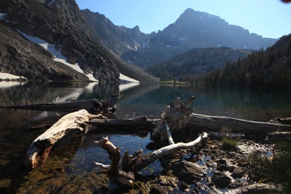 Logs at outlet, Merriam Lake and Mt. Idaho 12065'.
