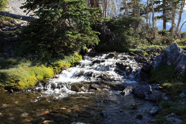 Outlet stream, Merriam Lake.
