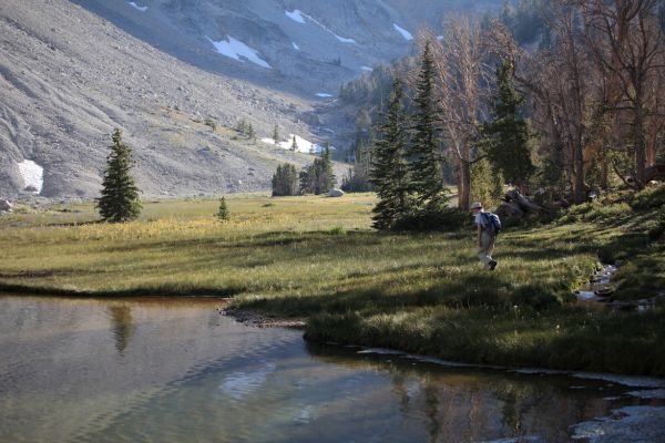 Off to check out wildflowers.
