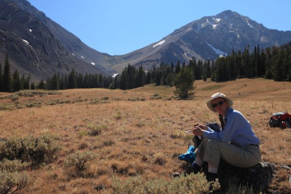 Pleasant meadows northeast of Leatherman Pass.
