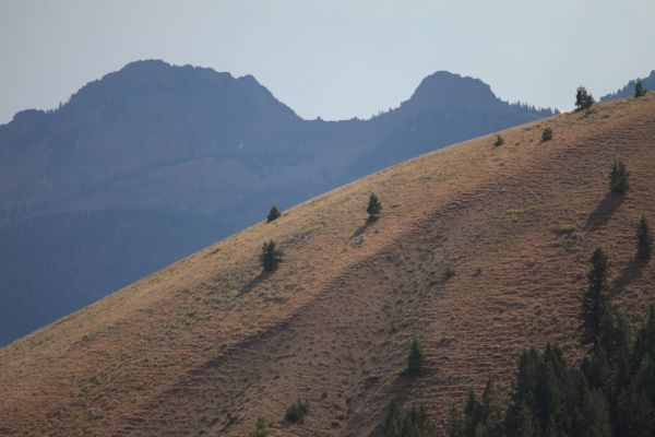 Ridge in Lost River Range, west From Pass Creek Summit.
