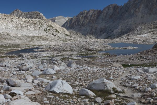 Our eventual destination was Lamarck Col at the head of Darwin Canyon, accessible above the Darwin Bench, the entrance to which can be seen at the bottom of the dark ridge extending toward Evolution Valley from the top right corner of the photo.
