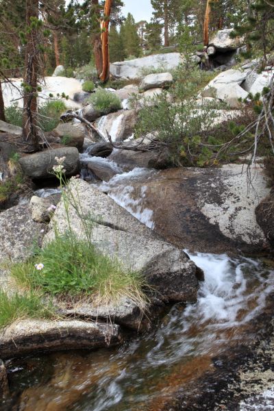 Stream cascades toward Evolution Valley from the Darwin Bench.
