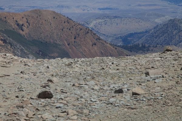 The road leading up from Bishop to North and South Lake, and Sabrina Lake trailheads.
