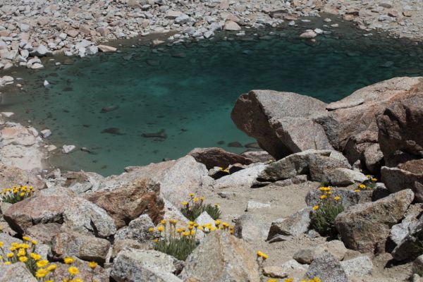 From Lamarck Col, a shallow tarn on the north side before the final ascent to the col. 
