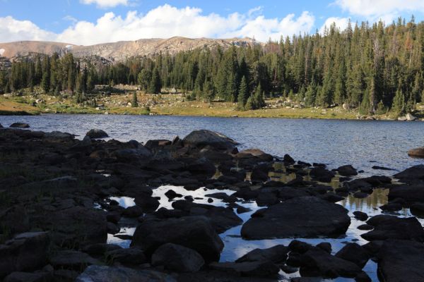 Looking north over Night Lake.
