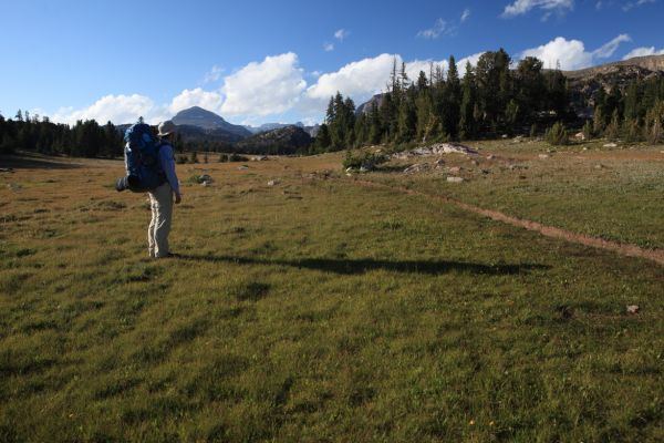 Meadows west of Night Lake.
