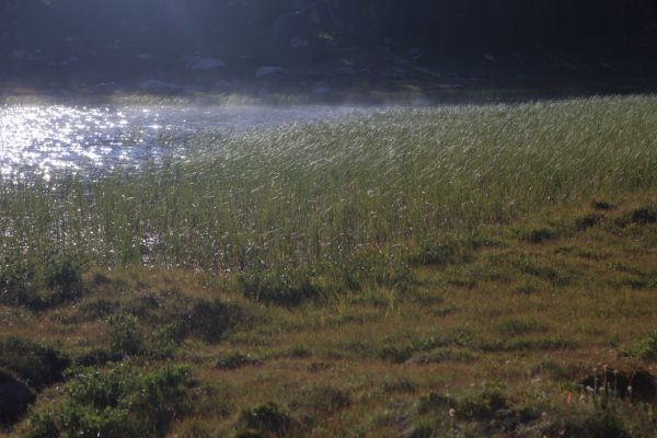 Backlit mist rising off a shallow, unnamed lake.
