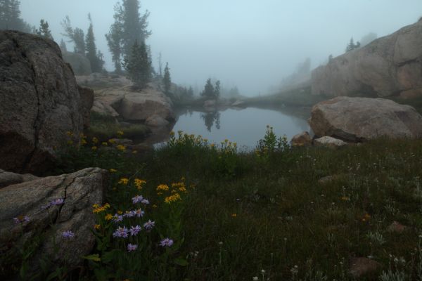 Tarn in early morning fog south of Echo Lake.
