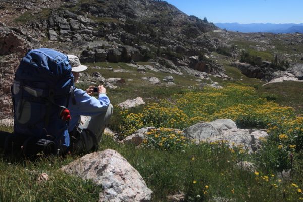 The professor lines up a shot in the plethora of wildflowers.
