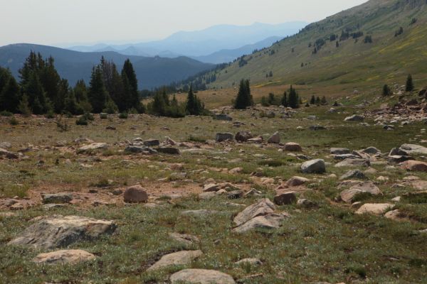 The main trail back to Island Lake takes a large, unnecessary zig-zag, unless you want to head to Beartooth Lake.
