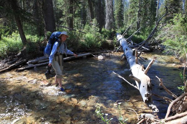 Fording the stream above McDonald Lake at 7200'.
