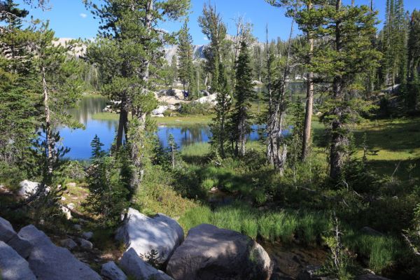 South to Little Spangle Lake from the trail.
