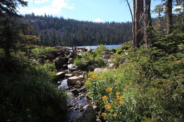 Outlet stream; Spangle Lake.
