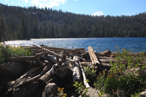 The outlet of wind blown Spangle Lake.
