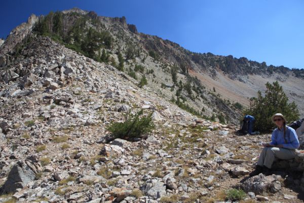 Looking up the southwest ridge of Snowyside Peak from the saddle.
