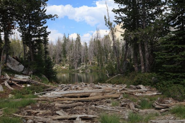 The southerly of the Twin Lakes from the land bridge between them.
