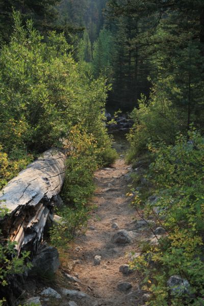 Stream crossing on the trail.
