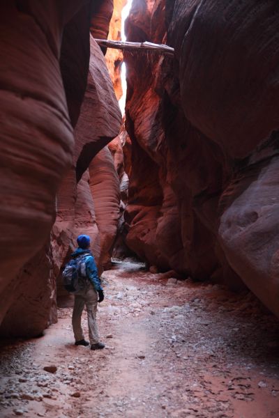 Logs jammed high between the slot canyon walls indicate how high the water flow can be.
