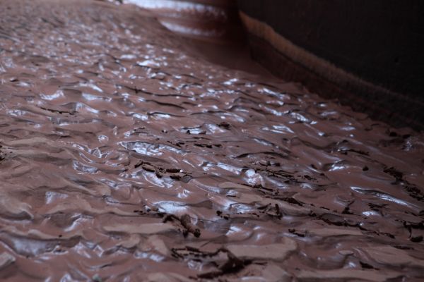 When the mud dried, the upper layer cracked, and had the appearence of shaved chocolate.  It was easy to walk on, crunching under one's step.  This section is just starting to dry out.
