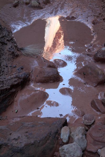 Canyon wall reflected in puddle of water on mud.
