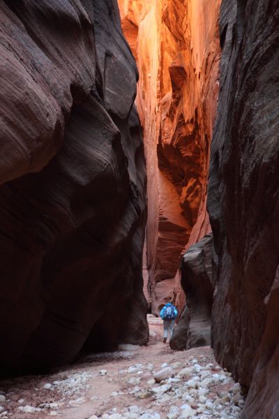 Every time the canyon widens out, we expect to arrive at the Middle Trail Exit, only to have the walls close in again.  It is hard to judge our progress down the slot.  We estimate our progress by elapsed time and speed; difficult to judge with all the stopping for photography.
