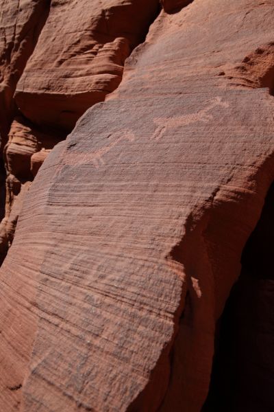 This petroglyph panel depicting two bighorn sheep is visible on the right side of  Middle Trail Exit, about 20' up from the canyon floor.
