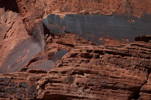 This outstanding petroglyph panel can be seen from the position of previous photo 4301, about 100' downstream from Middle Trail Exit.  About 100' above the stream bottom, it is located in a horizontal black band on the canyon wall.
