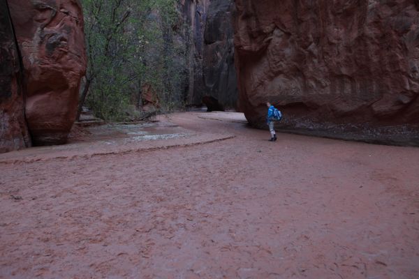 It became necessary to switch to our water shoes when we reached the 'seeps', about 15 minutes before arriving at the camping area.  Although the water ran clear, it flowed over mud, extending over the width of the slot.
