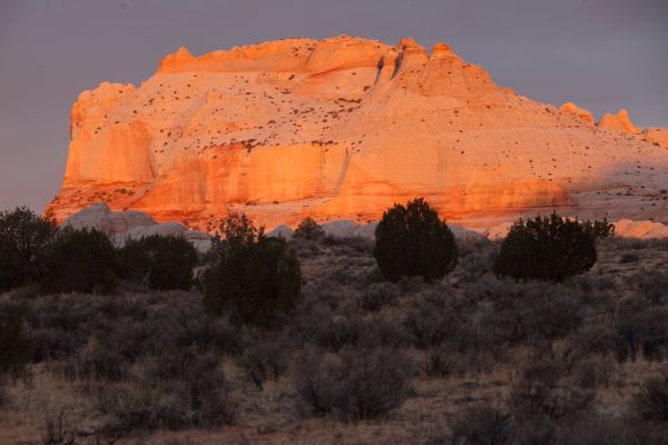 The White Pocket Monolith at dawn, west of the White Pocket parking area.
