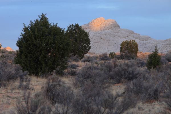 Moqui City, White Pocket at dawn, west of the White Pocket parking area.
