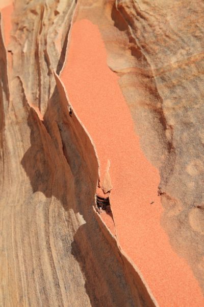 The wind carves delicate fins in the sandstone which traps the windblown sand in pockets.  The fins are easily broken by a hiker's misplaced step.
