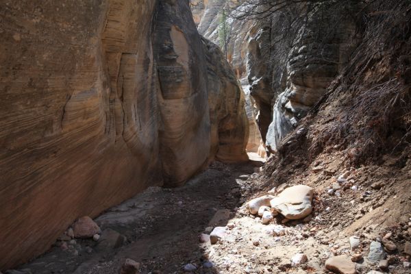 There were recent slides, fallen rock and trees.  The wash bottom was often muddy.
