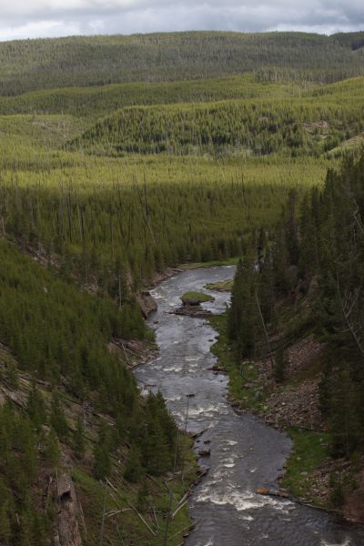 Downstream from Gibbon Falls.
