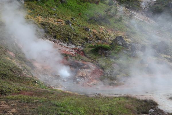 Blood Geyser, named for the red colored iron oxide in the water; Artist Paint Pots trail.
