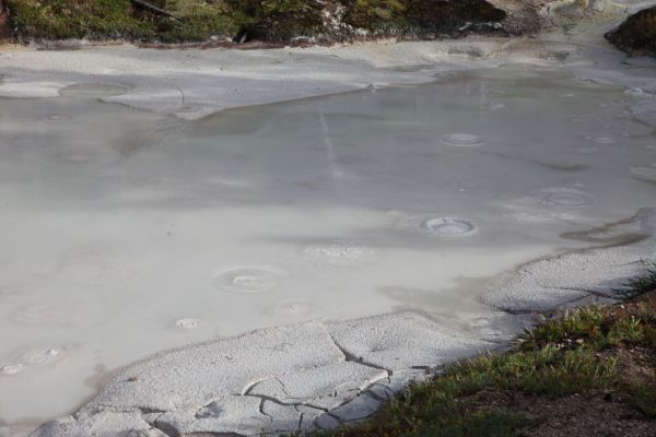 The Artist Paint Pots; the second of a pair of mud pots located up the hill along the trail.  The mud was thinner due to rain less than an hour before.
