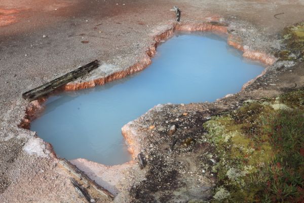 One of several hydrothermal pools on the northwest section of the Artist Paint Pots trail.  Color is the result of silica suspended in the water.
