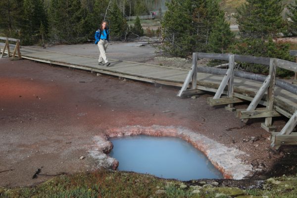 The professor explores a hydrothermal pool on the Artist Paint Pots trail.
