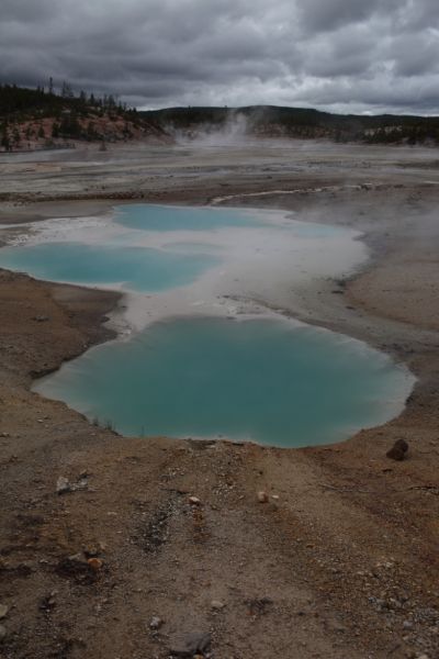 Colloidal Pool; Porcelain Basin, Norris Geyser Basin.
