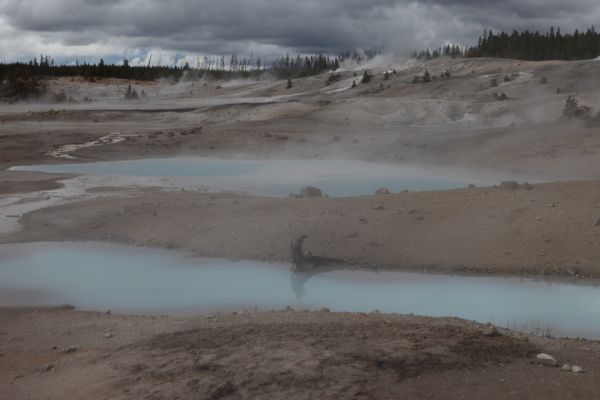 Porcelain Basin, Norris Geyser Basin.
