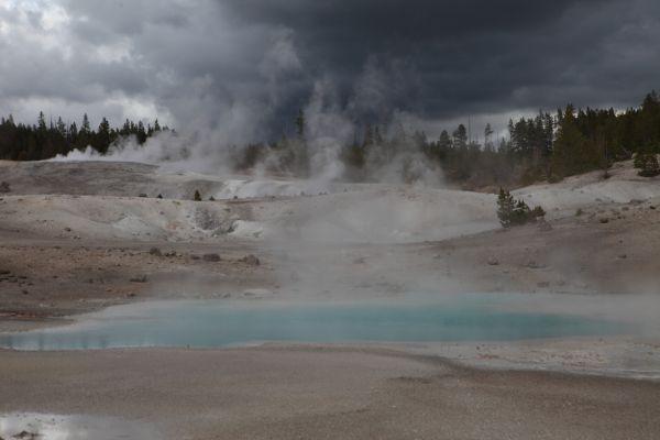 Congress Pool; Porcelain Basin, Norris Geyser Basin.
