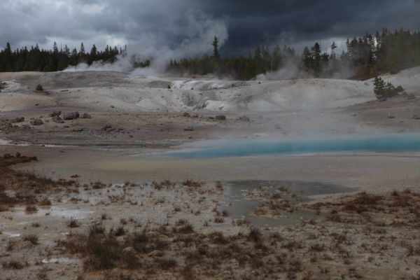 Porcelain Basin, Norris Geyser Basin.
