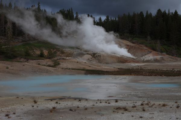 Hurricane Vent; Porcelain Basin, Norris Geyser Basin.
