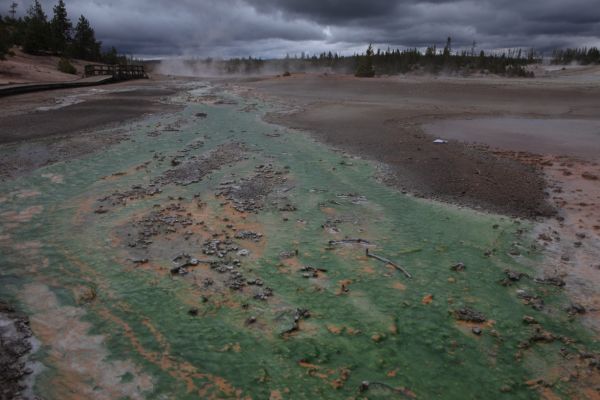 East Fork Tantalus Creek; Porcelain Basin, Norris Geyser Basin.
