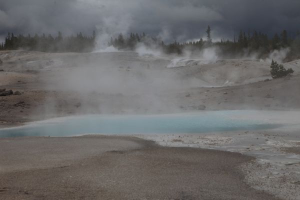 Congress Pool; Porcelain Basin, Norris Geyser Basin.
