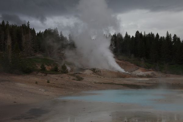 Hurricane Vent; Porcelain Basin, Norris Geyser Basin.
