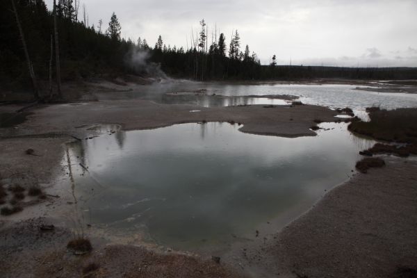 Looking west over Crackling Lake; Porcelain Basin, Norris Geyser Basin.
