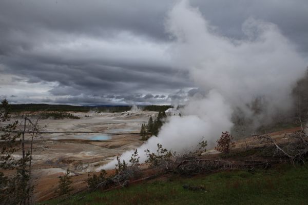 Hurricane Vent; Porcelain Basin, Norris Geyser Basin.
